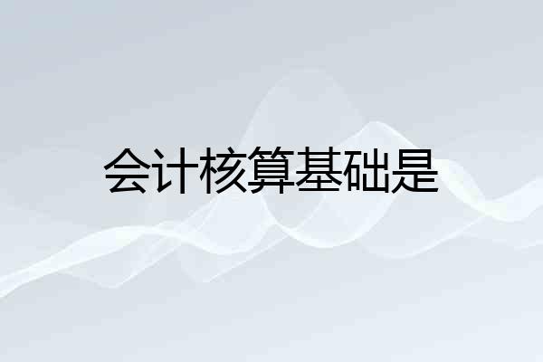 会计核算基础是