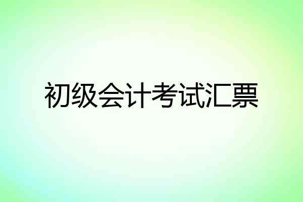 初级会计考试汇票
