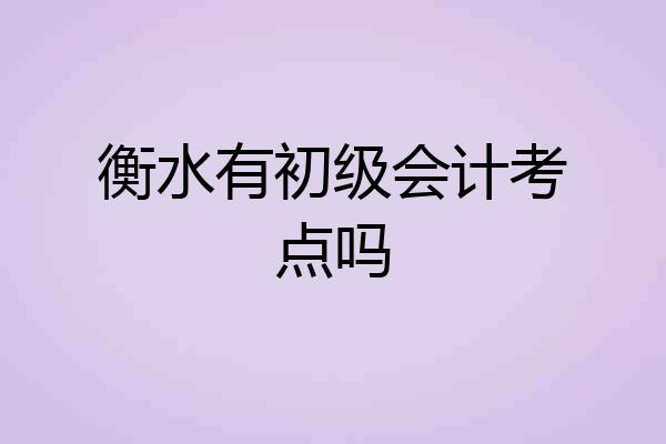 衡水有初级会计考点吗