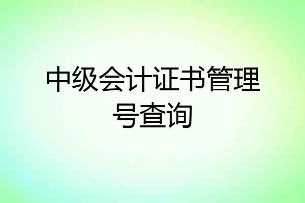 中级会计证书管理号查询