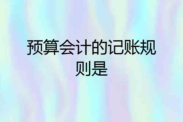 预算会计的记账规则是