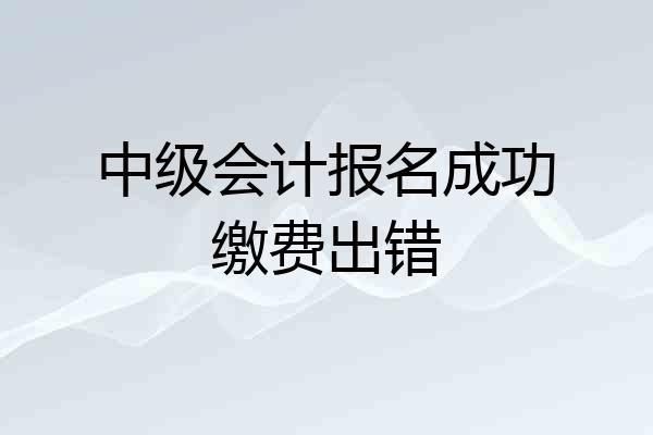 中级会计报名成功缴费出错