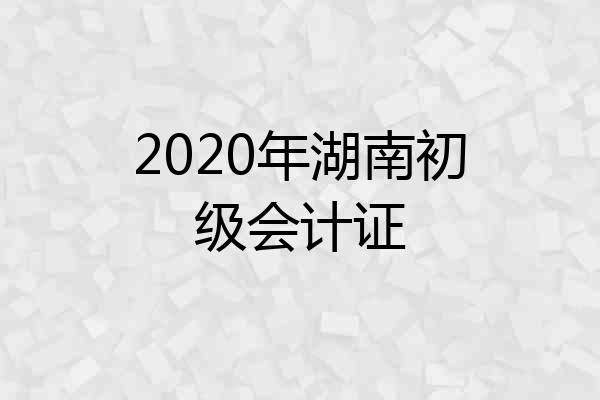 2020年湖南初级会计证