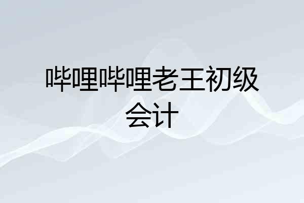 哔哩哔哩老王初级会计