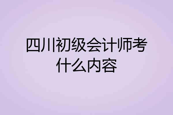 四川初级会计师考什么内容