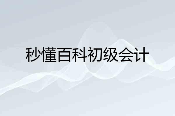 秒懂百科初级会计