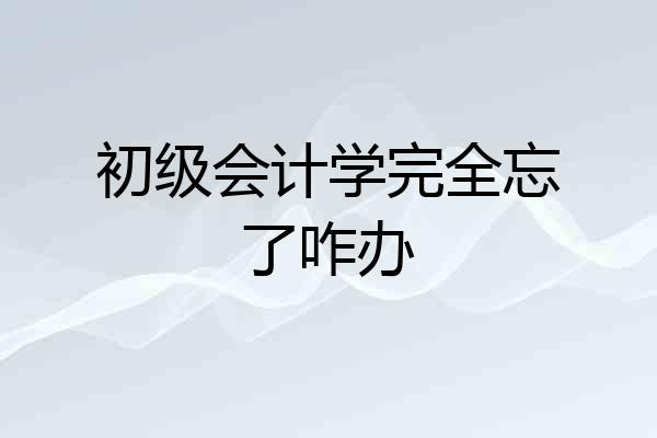 初级会计学完全忘了咋办