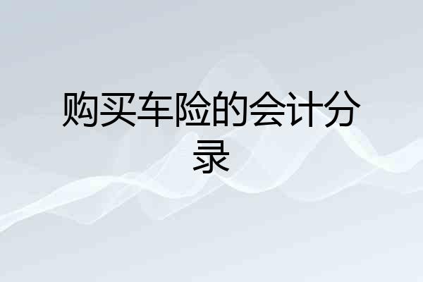 购买车险的会计分录