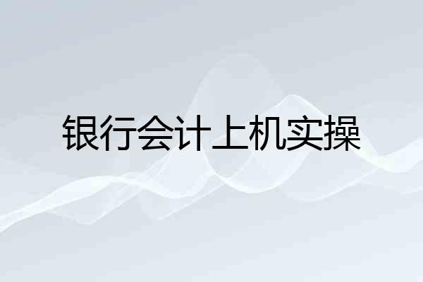 银行会计上机实操