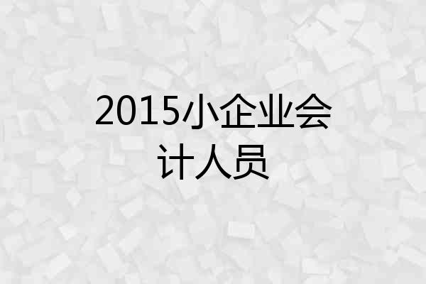 2015小企业会计人员