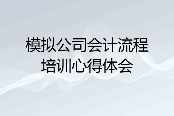 模拟公司会计流程培训心得体会