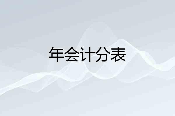 年会计分表