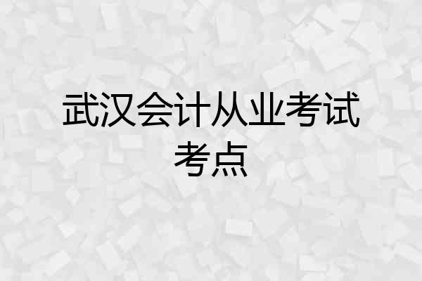 武汉会计从业考试考点