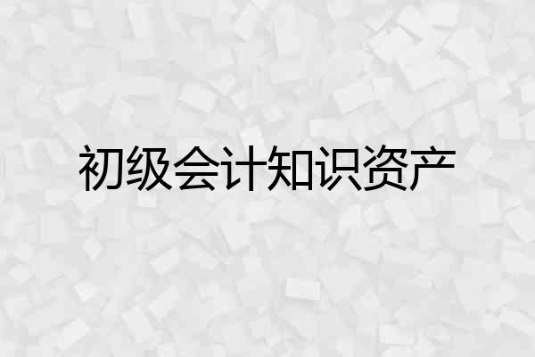 初级会计知识资产