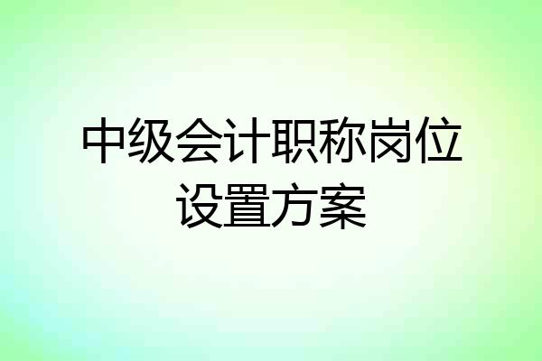 中级会计职称岗位设置方案