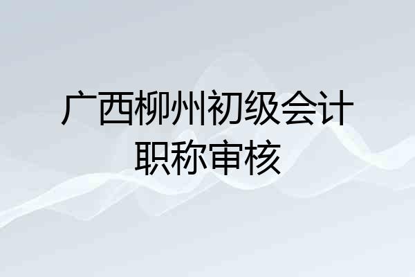 广西柳州初级会计职称审核