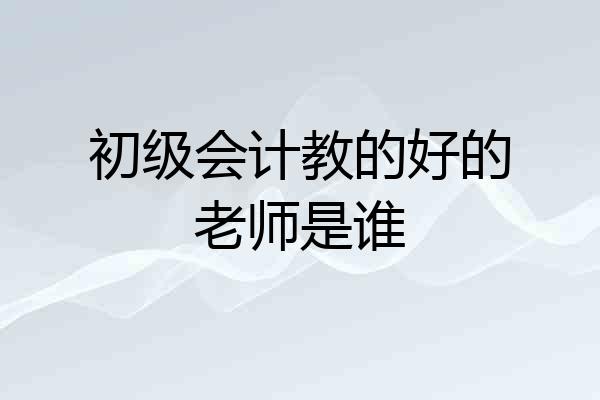 初级会计教的好的老师是谁