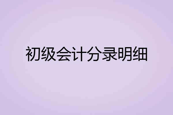 初级会计分录明细