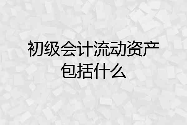 初级会计流动资产包括什么