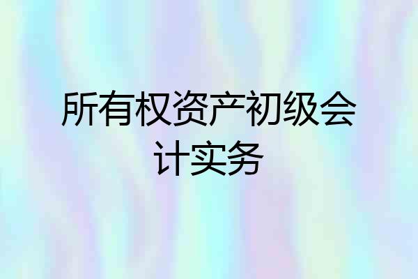 所有权资产初级会计实务