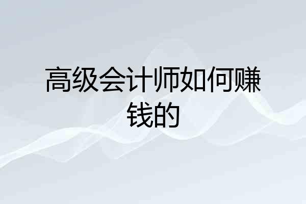 高级会计师如何赚钱的