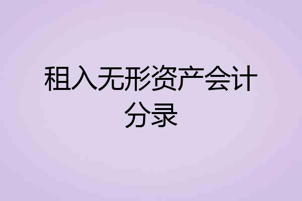 租入无形资产会计分录