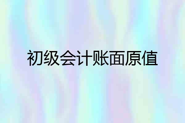 初级会计账面原值