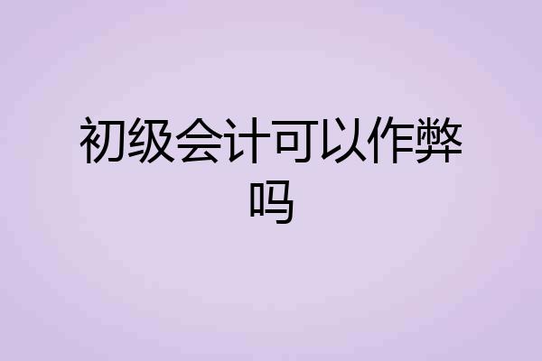 初级会计可以作弊吗