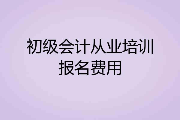 初级会计从业培训报名费用