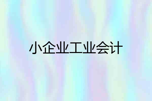 小企业工业会计