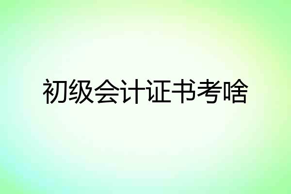 初级会计证书考啥