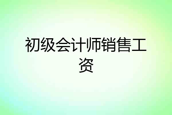 初级会计师销售工资