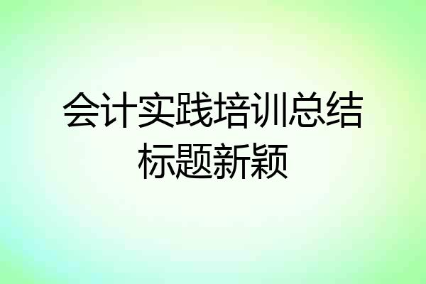 会计实践培训总结标题新颖