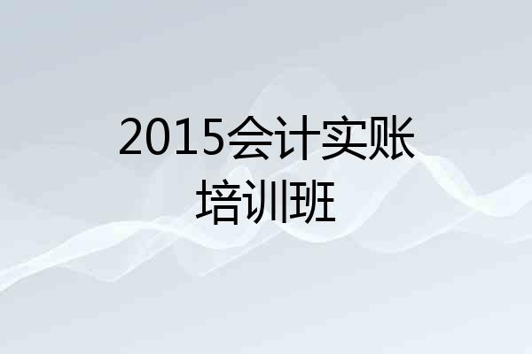 2015会计实账培训班