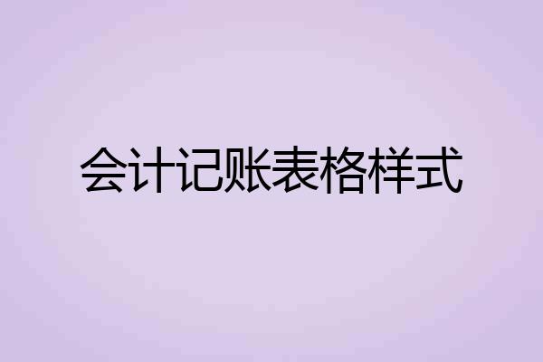 会计记账表格样式