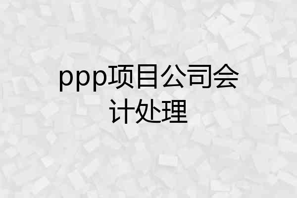 ppp项目公司会计处理