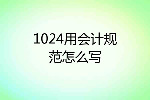 1024用会计规范怎么写
