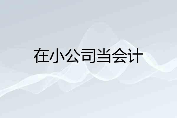 在小公司当会计
