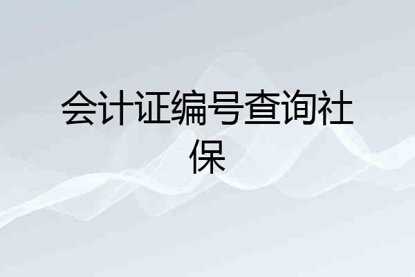会计证编号查询社保