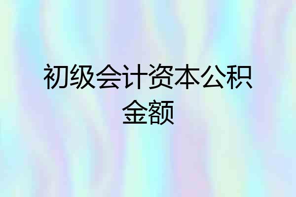 初级会计资本公积金额