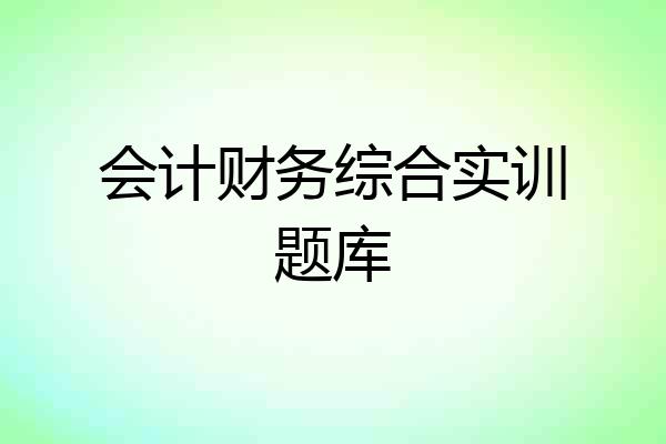 会计财务综合实训题库