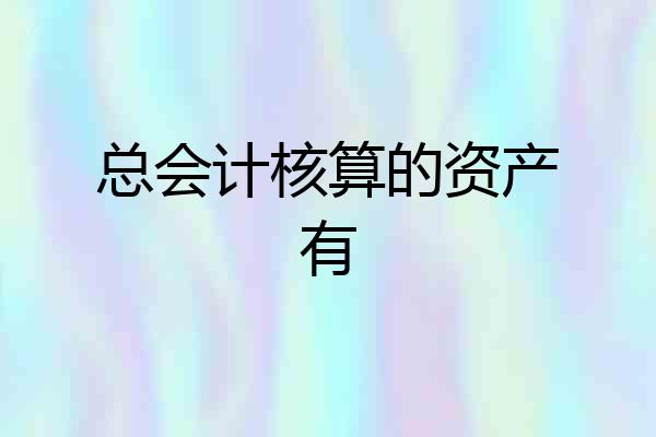 总会计核算的资产有