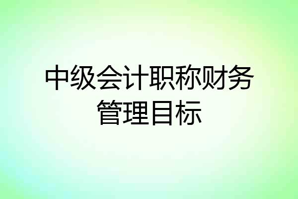 中级会计职称财务管理目标