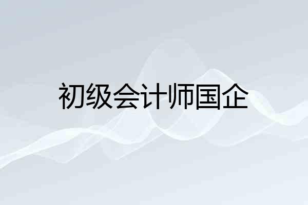 初级会计师国企