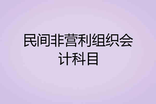 民间非营利组织会计科目