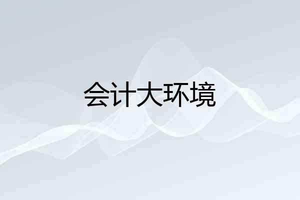 会计大环境