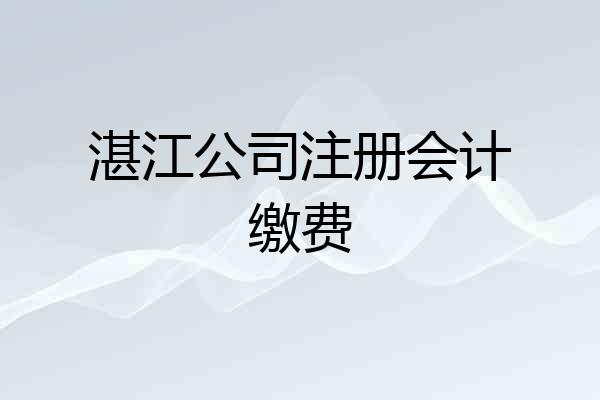 湛江公司注册会计缴费