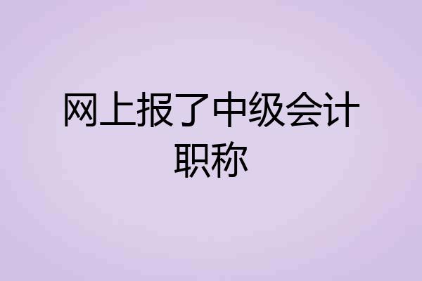 网上报了中级会计职称