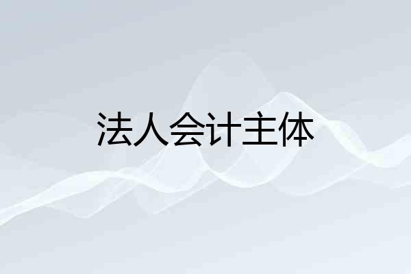 法人会计主体