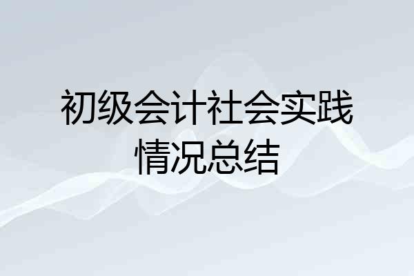 初级会计社会实践情况总结